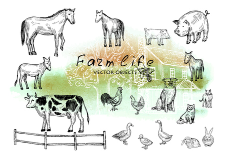 Vector illustration. Pen style drawn farm animals set: cow, horse, donkey, pig, rabbits, duck, hen, cock, dog, cats. Vector objects.のイラスト素材