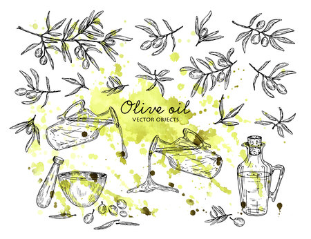 Vector illustration. Olive oil and olives objects set.のイラスト素材