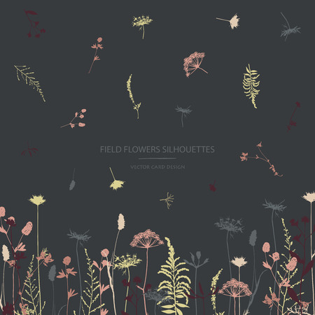 Vector silhouettes collection. Set of field herbs, flowers. Card design.のイラスト素材