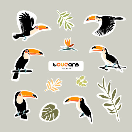 Vector objects. Toucans and leaves set. Stickers design. Summer colors.のイラスト素材