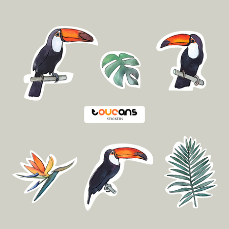 Vector objects. Toucans and leaves set. Watercolor style. Stickers design. Summer colors.のイラスト素材