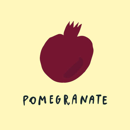 Vector simplified pomegranate drawing, handwritten wordのイラスト素材