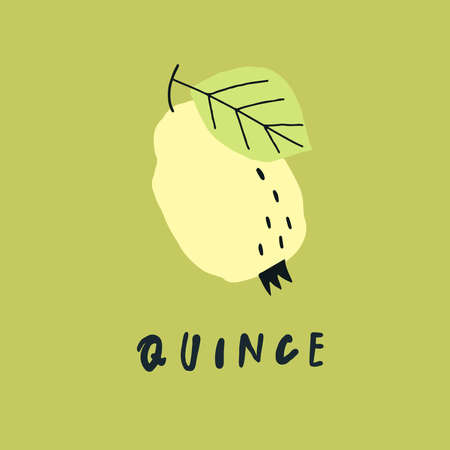 Vector simplified quince drawing, handwritten wordのイラスト素材