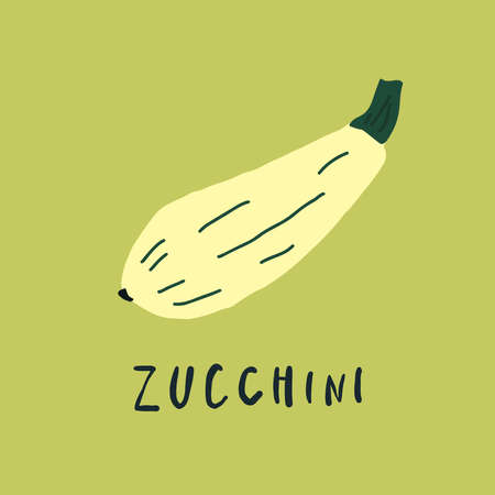 Vector simplified zucchini drawing, handwritten wordのイラスト素材