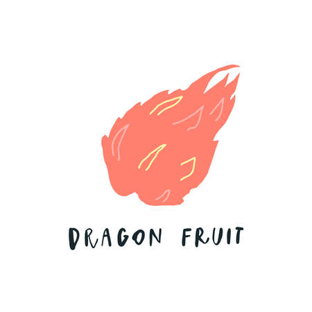 Vector simplified dragon fruit drawing, handwritten wordのイラスト素材