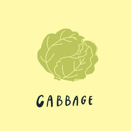 Vector simplified cabbage drawing, handwritten wordのイラスト素材