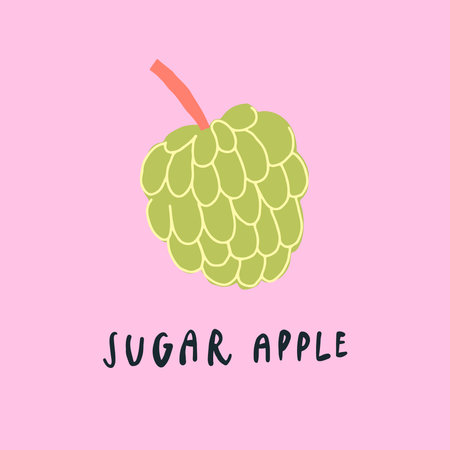Vector simplified sugar apple drawing, handwritten wordのイラスト素材