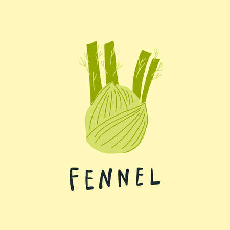 Vector simplified fennel drawing, handwritten wordのイラスト素材