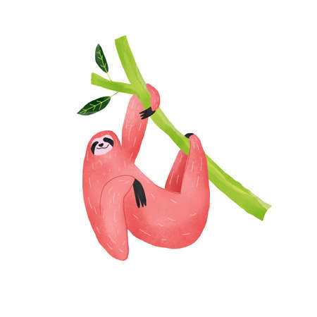 Sloth hanging on branch image with textureの写真素材