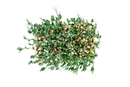 Fresh micro green peas isolated on white backgroundの写真素材