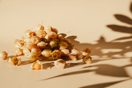 Physalis fruits. Physalis peruviana. Golden berry, Cape gooseberry
