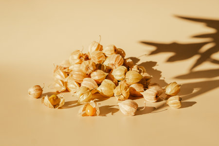 Physalis fruits. Physalis peruviana. Golden berry, Cape gooseberryの写真素材