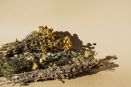Different types of dried herbs in bundles. Wormwood, tansy, chamomileの写真素材