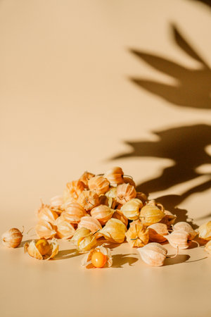 Physalis fruits. Physalis peruviana. Golden berry, Cape gooseberryの写真素材