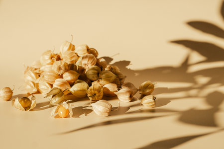 Physalis fruits. Physalis peruviana. Golden berry, Cape gooseberryの写真素材
