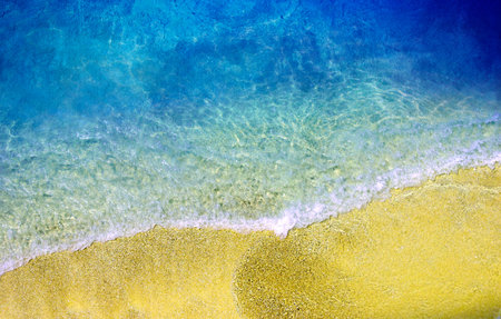 tropical beach