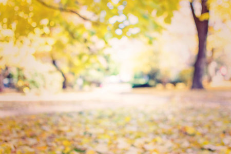 blurred vintage nature park background