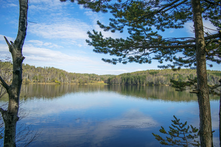 Forest lake under blue cloudy skyの写真素材