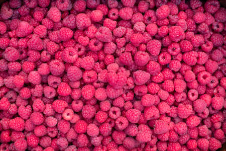 fresh ripe raspberry. fruit backgroundの写真素材