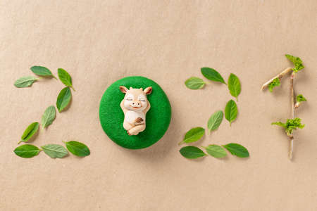 numbers 2021 made from green leaves and christmas bull symbol on craft paperの写真素材