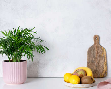 houseplant in a flowerpot, fresh fruit and cutting board on a kitchen table. bright pastel colors.の写真素材