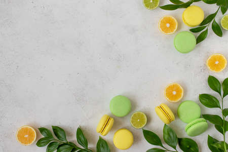 yellow and green macarons, slices of lemon, lime, green branches. white concrete background. flat lay, copy spaceの写真素材