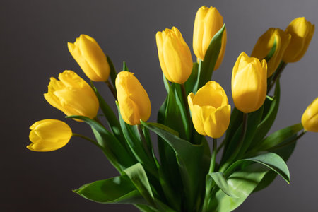 close up of yellow tulips bouquet on dark background