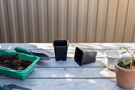 preparation for planting flower seeds. garden tools, seedling pots, soil on a wooden table in the...
