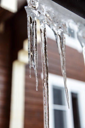 Icicles hang from the roof and dripping from them. Spring.