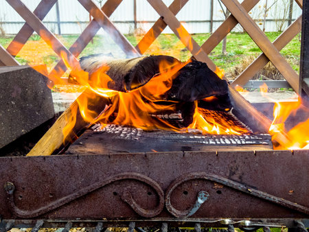 Birch firewood burning strong fire at the barbecue.