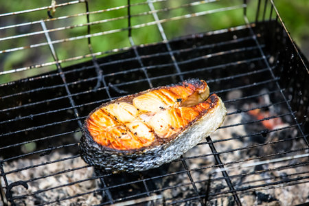 fish, salmon, fried on a grill, barbecue, picnic