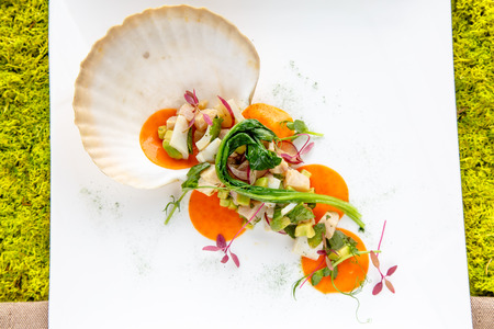 Salad of fish and seafood with the shell of the scallopの写真素材