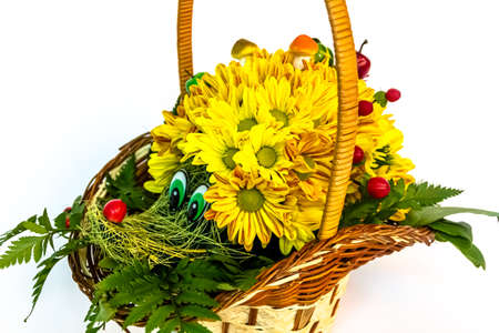 An unusual basket with flowers with yellow daisies, in the form of a forest animal, similar to a hedgehog.の写真素材