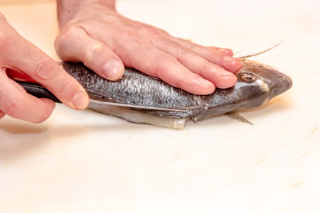 The process of butchering pike fish for frying in a pan. Elderly woman's hand cut fish on a cutting...