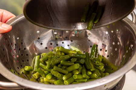 Young green bean, green bean pods, preparing the podoleの写真素材