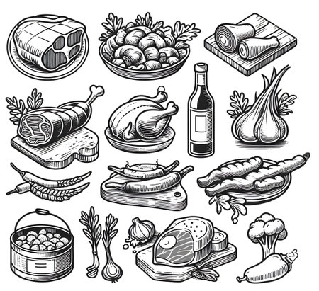 Meat and vegetables icons set. Vector illustration of meat and vegetables icons.の素材