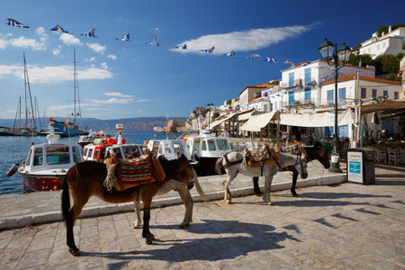Mules on the quay in the centre of Hydra waiting to be hiredのeditorial素材
