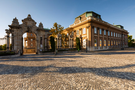 Morning view of Buda castle.のeditorial素材