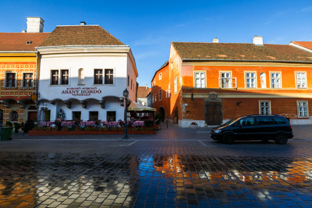 Morning view of the historic town centre of Buda in present day Budapest, Hungary.のeditorial素材