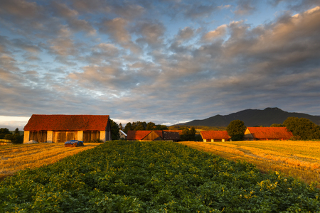 Traditional barns on the edge of a village in northern Slovakia.の写真素材