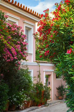 Street with a lot of flowers in Plaka neighbourhood of Athens, Greece.のeditorial素材