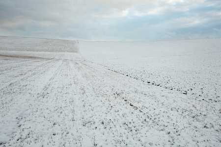 Winter fields of northern Slovakia.の写真素材