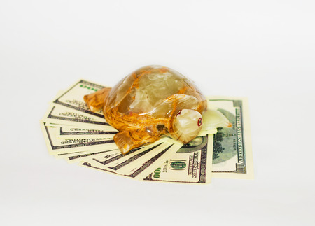 Onyx turtle on a pack of dollars isolateの写真素材