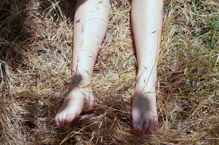 Girls feet in the grass on a hot sunny summer dayの写真素材