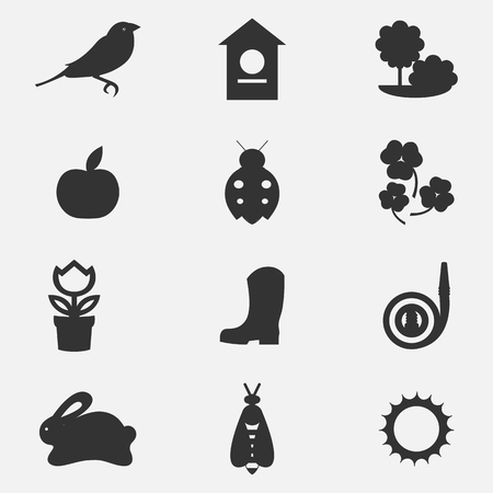 Vector set collection icons of color springs symbolsのイラスト素材