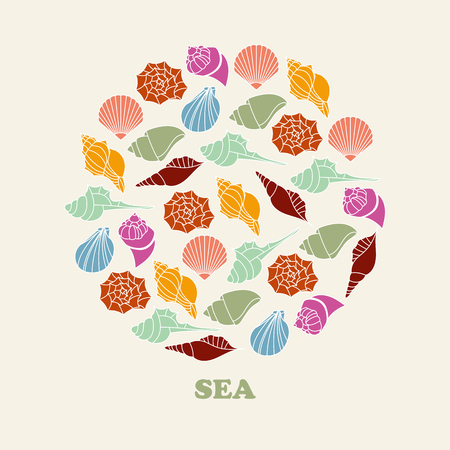 Sea shells vector illustration of color silhouettesのイラスト素材