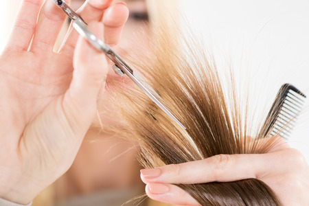Hairdresser cut hair of a woman  Close-up の写真素材