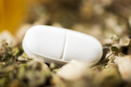 White Pill on herbal background  The focus is on the pill 