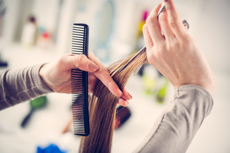 Close-up of a hairdresser cutting the hair of a woman.の写真素材