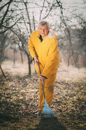 Mature man cleaning a leaves with a rake in the orchard before winter. Looking at camera.の写真素材